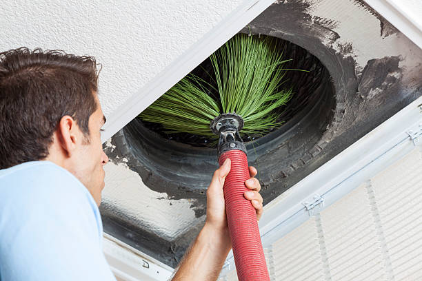 Best Air Filter Replacement Services in North Oaks, MN